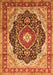 Medallion Orange Traditional Rug, tr136org