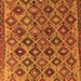 Serging Thickness of Persian Orange Traditional Rug, tr1373org