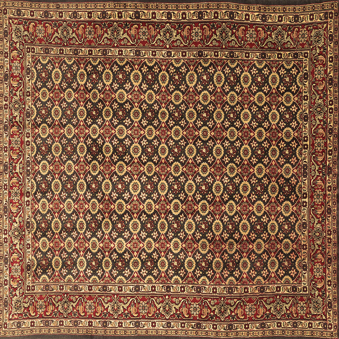 Square Persian Brown Traditional Rug, tr1375brn