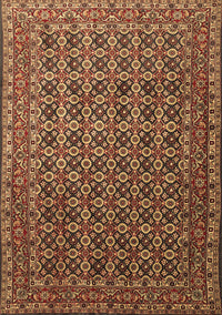 Persian Brown Traditional Rug, tr1375brn