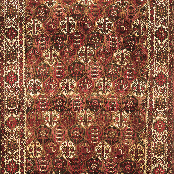 Persian Brown Traditional Rug, tr1377brn