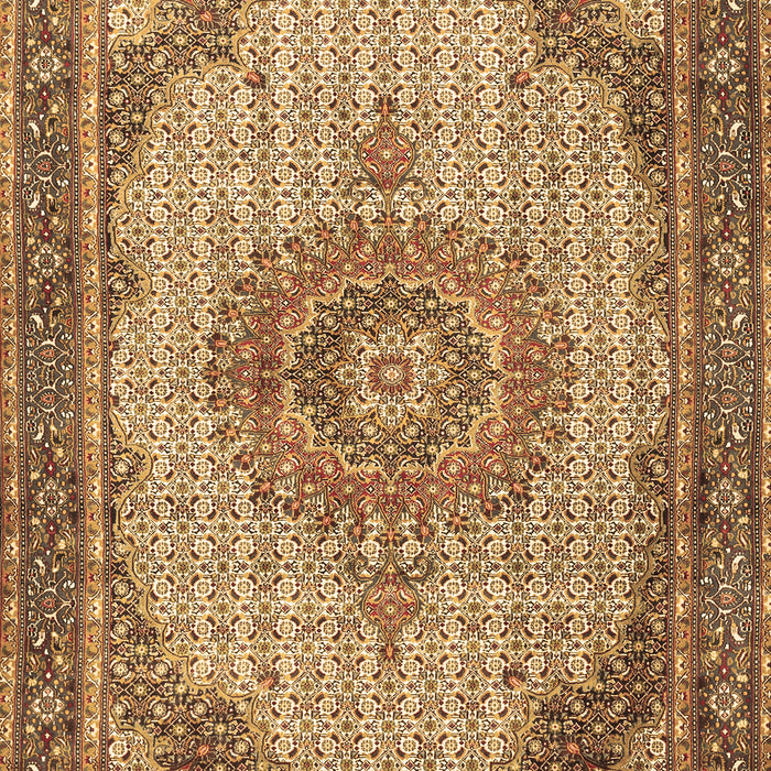 Machine Washable Medallion Brown Traditional Rug, wshtr1378brn