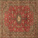 Square Machine Washable Persian Brown Traditional Rug, wshtr1382brn