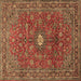 Square Persian Brown Traditional Rug, tr1382brn