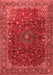 Persian Red Traditional Area Rugs