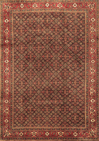 Persian Brown Traditional Rug, tr1384brn