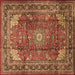 Square Persian Brown Traditional Rug, tr1385brn