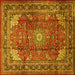 Square Persian Yellow Traditional Rug, tr1385yw