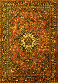 Medallion Yellow Traditional Rug, tr1388yw