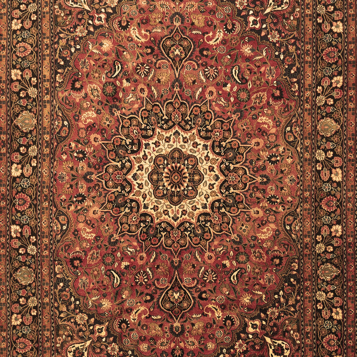 Medallion Brown Traditional Rug, tr1388brn