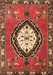 Medallion Brown Traditional Rug, tr1397brn