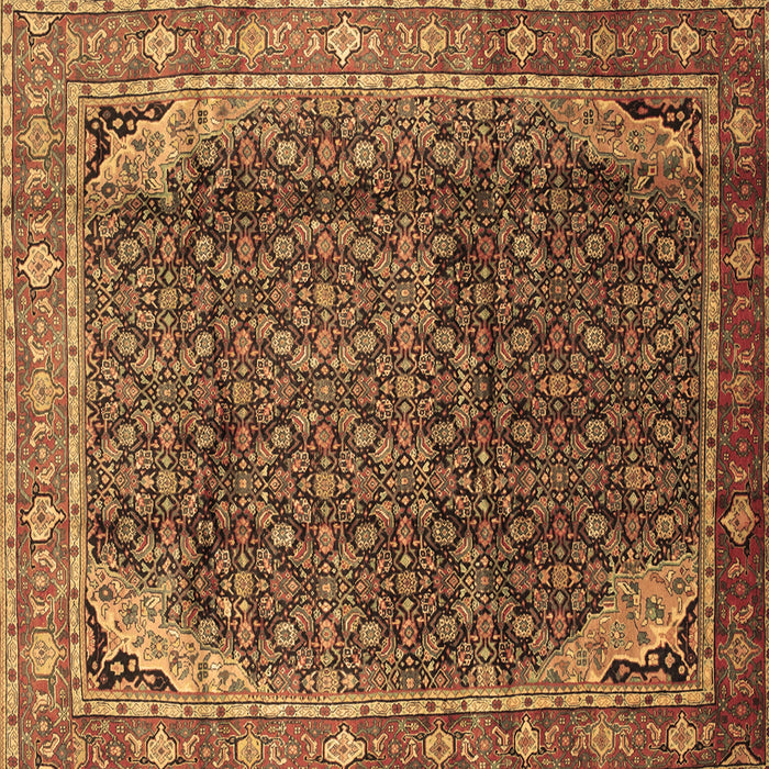 Square Persian Brown Traditional Rug, tr139brn
