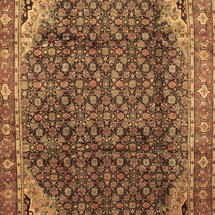 Machine Washable Persian Brown Traditional Rug, wshtr139brn