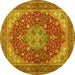 Round Medallion Yellow Traditional Rug, tr13yw