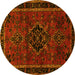 Round Persian Yellow Traditional Rug, tr1403yw