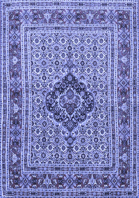 Medallion Blue Traditional Rug, tr1418blu