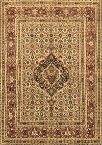 Medallion Brown Traditional Rug, tr1418brn