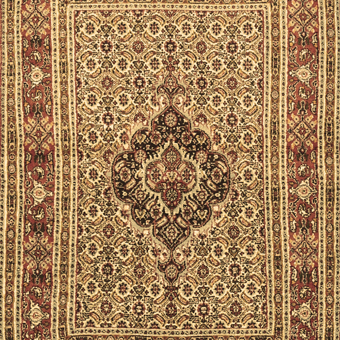 Medallion Brown Traditional Rug, tr1418brn