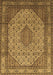 Medallion Brown Traditional Rug, tr141brn