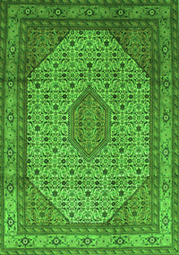 Medallion Green Traditional Rug, tr141grn