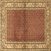 Square Persian Brown Traditional Rug, tr1422brn
