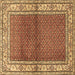 Square Machine Washable Persian Brown Traditional Rug, wshtr1422brn