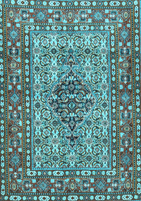 Persian Light Blue Traditional Rug, tr1426lblu