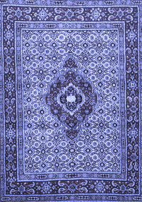 Medallion Blue Traditional Rug, tr1427blu