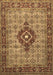 Machine Washable Medallion Brown Traditional Rug, wshtr1427brn