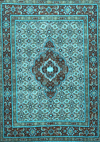 Medallion Light Blue Traditional Rug, tr1427lblu