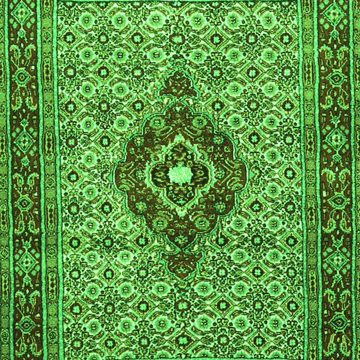 Medallion Green Traditional Rug, tr1427grn