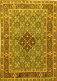 Persian Yellow Traditional Rug, tr1428yw