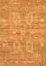 Persian Orange Traditional Rug, tr142org