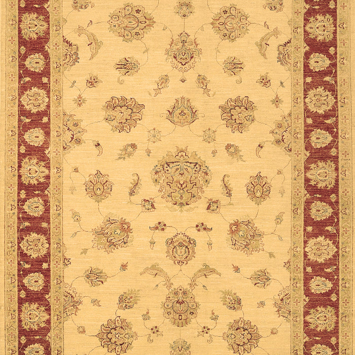 Oriental Brown Traditional Rug, tr1442brn