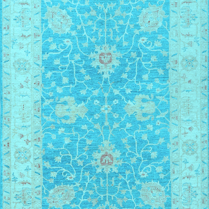 Oriental Light Blue Traditional Rug, tr1444lblu