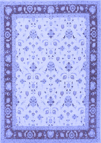 Persian Blue Traditional Rug, tr1446blu