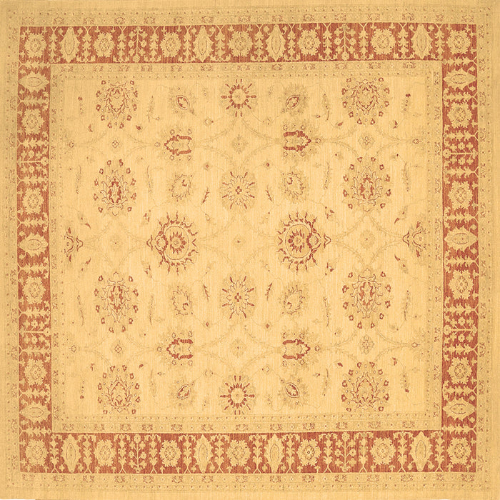 Square Oriental Brown Traditional Rug, tr1449brn