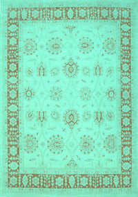 Oriental Turquoise Traditional Rug, tr1449turq