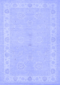 Persian Blue Traditional Rug, tr1451blu