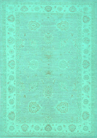 Persian Turquoise Traditional Rug, tr1451turq