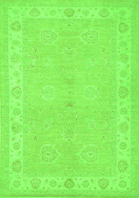 Persian Green Traditional Rug, tr1451grn