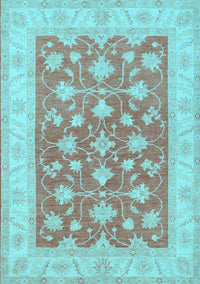 Oriental Light Blue Traditional Rug, tr1452lblu