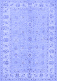 Oriental Blue Traditional Rug, tr1453blu