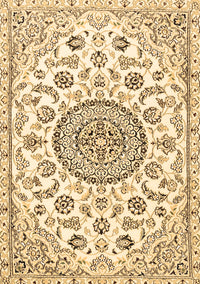 Medallion Brown Traditional Rug, tr1456brn