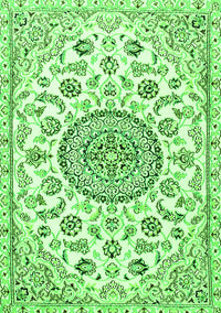 Medallion Green Traditional Rug, tr1456grn