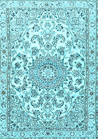 Persian Light Blue Traditional Rug, tr1462lblu