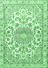 Persian Emerald Green Traditional Rug, tr1462emgrn