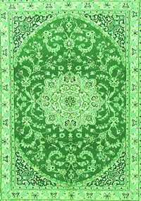 Medallion Green Traditional Rug, tr1463grn