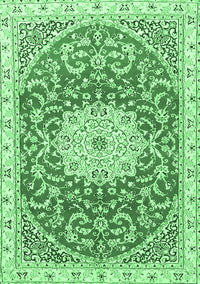 Medallion Emerald Green Traditional Rug, tr1463emgrn