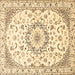 Square Medallion Brown Traditional Rug, tr1464brn